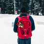 A person walking in the snow with a red backpack