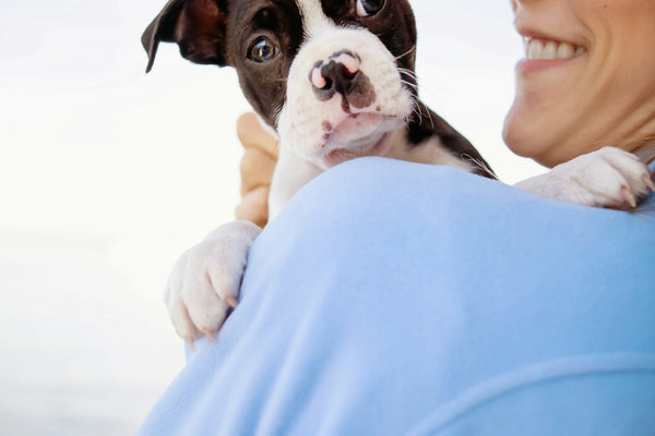 Woman happily holds a cute puppy.