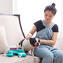 A woman pets her dog on a couch.