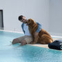 Man and dog relax by the pool with robot.