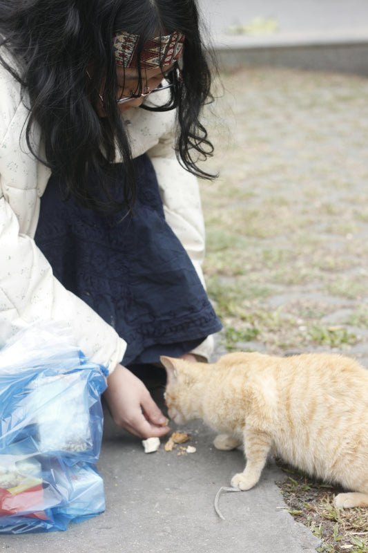 Woman feeds a cat some food outside.