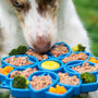 Dog enjoys a colorful meal from its interactive dish.