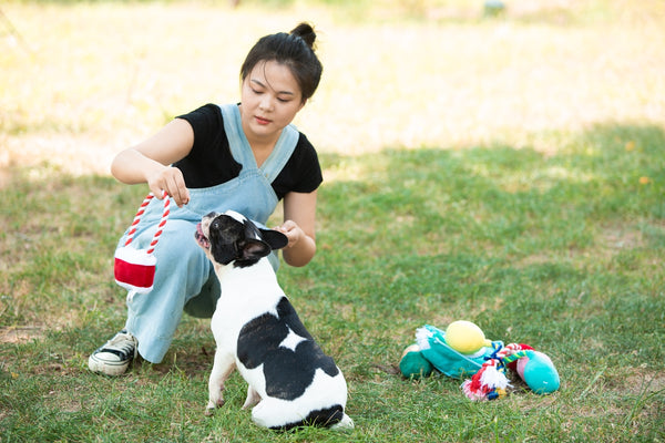 Woman plays with her dog in a grassy field.