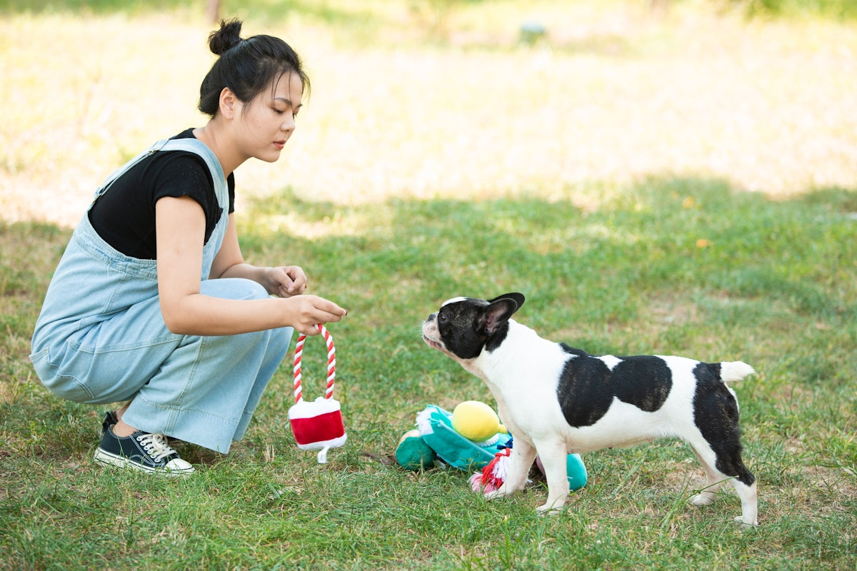 A woman plays with her dog in the grass.
