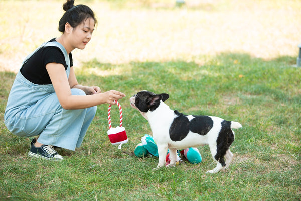 Woman plays with her dog outside.