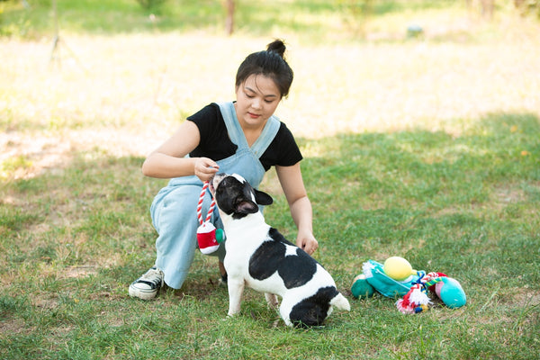 Woman plays with her dog in the grass.