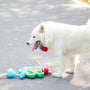 A white dog stands next to a toy.