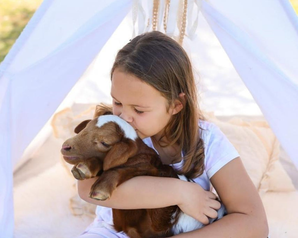 A girl hugs and kisses a baby goat.