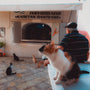 Cats and a man enjoy a casual day.