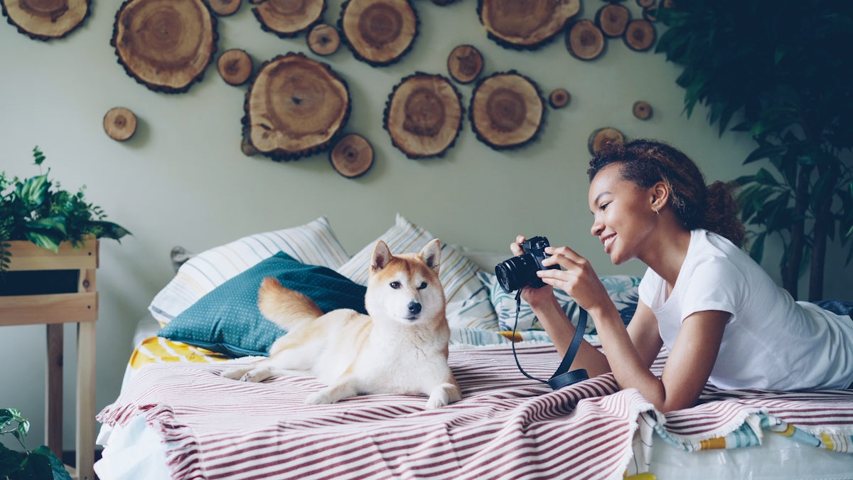 Woman takes a photo of a dog on a bed.