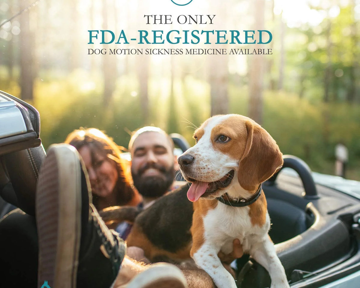 Effective Anti-Motion Sickness Relief for Medium Dogs - 20 Caplets for Disorientation and Dizziness