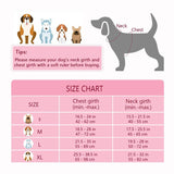 No Pull Dog Harness & Leash Set (2 Counts/Set), Escape Proof Reflective Adjustable Pet Vest Tools, Soft Padded Pet Collars Harness with Handle for Small to Large Dogs, Dog Accessories Tools, Harness Straps Studs