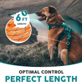 Embark Adventure Pro Leash - 6Ft Heavy-Duty Nylon Dog Leash with Climbing Rope & Carabiner for All Breeds