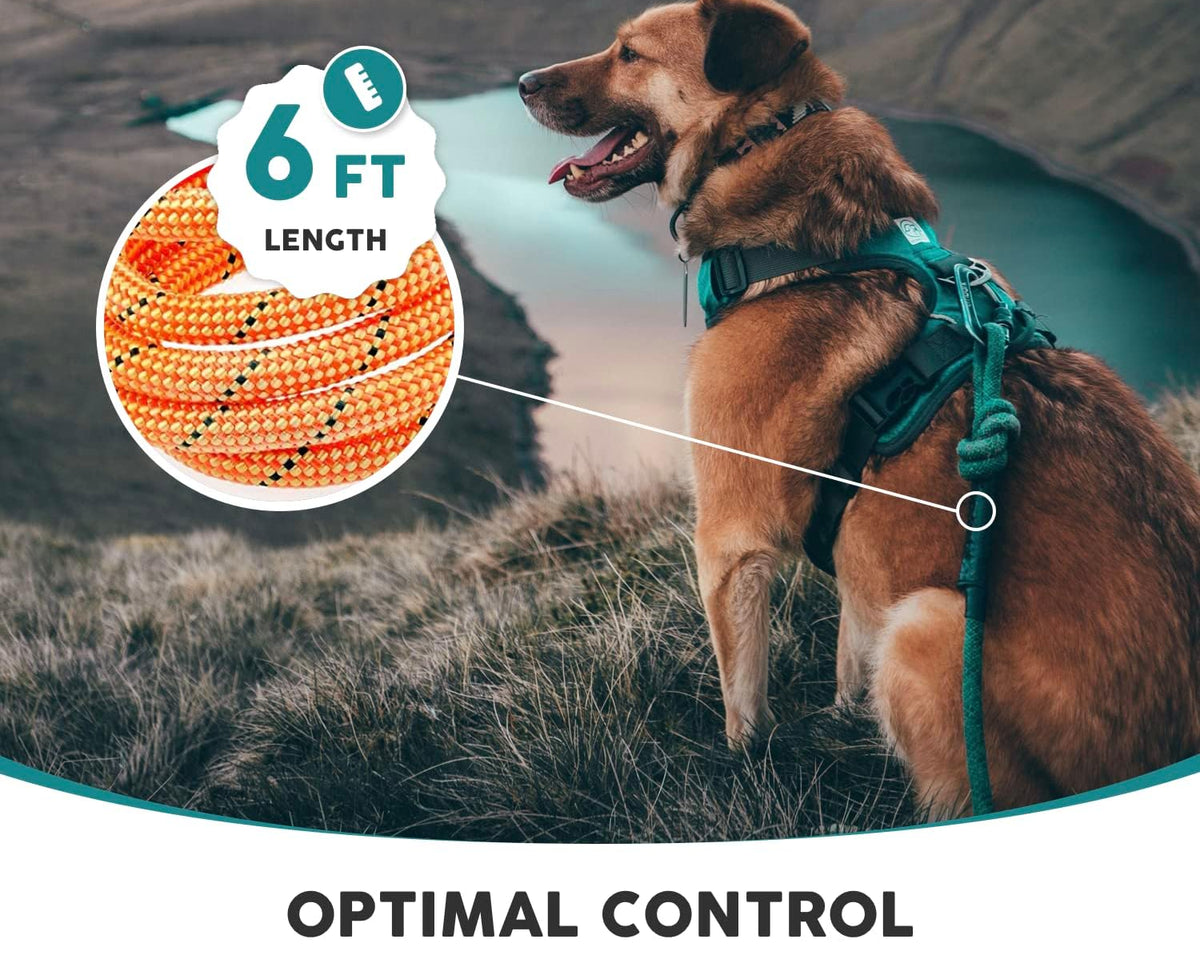 Embark Adventure Pro Leash - 6Ft Heavy-Duty Nylon Dog Leash with Climbing Rope & Carabiner for All Breeds