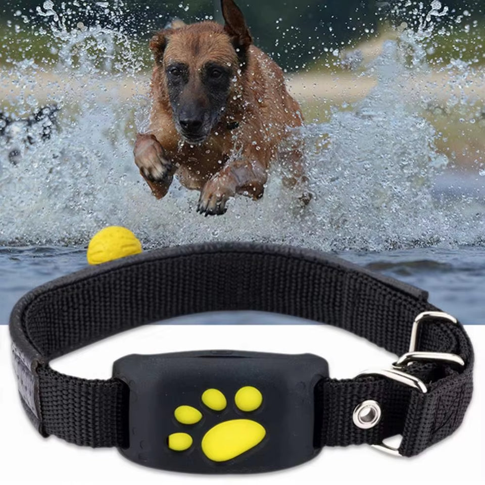 Z8 GPS Pet Tracker - Real-Time Location, Anti-Lost Collar for Dogs & Cats