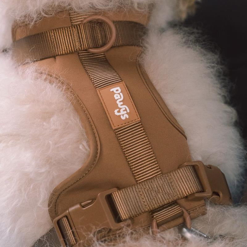 Stylish Dog Walking Experience with Space Cotton Harness