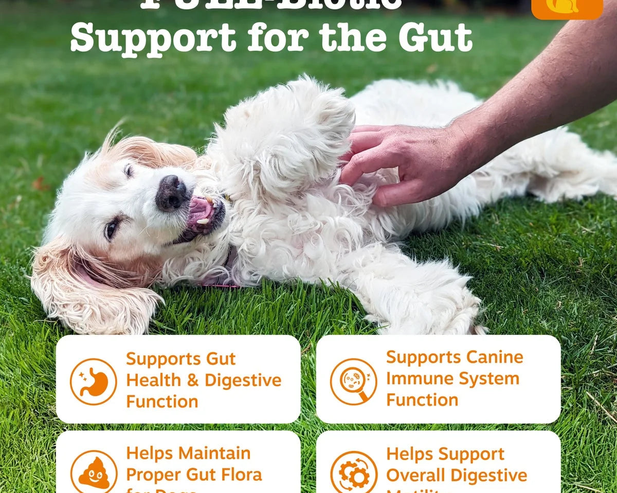 Vet-Strength Probiotic Bites for Dogs - 60 Count Gut Health Supplement for Optimal Digestion