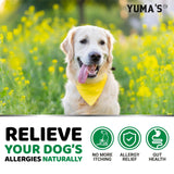 All-Natural Dog Allergy Relief Chews – 170 Delicious Treats for Soothing Itch Relief