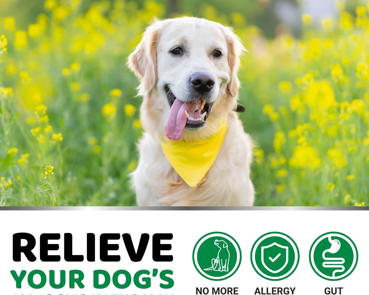 All-Natural Dog Allergy Relief Chews – 170 Delicious Treats for Soothing Itch Relief