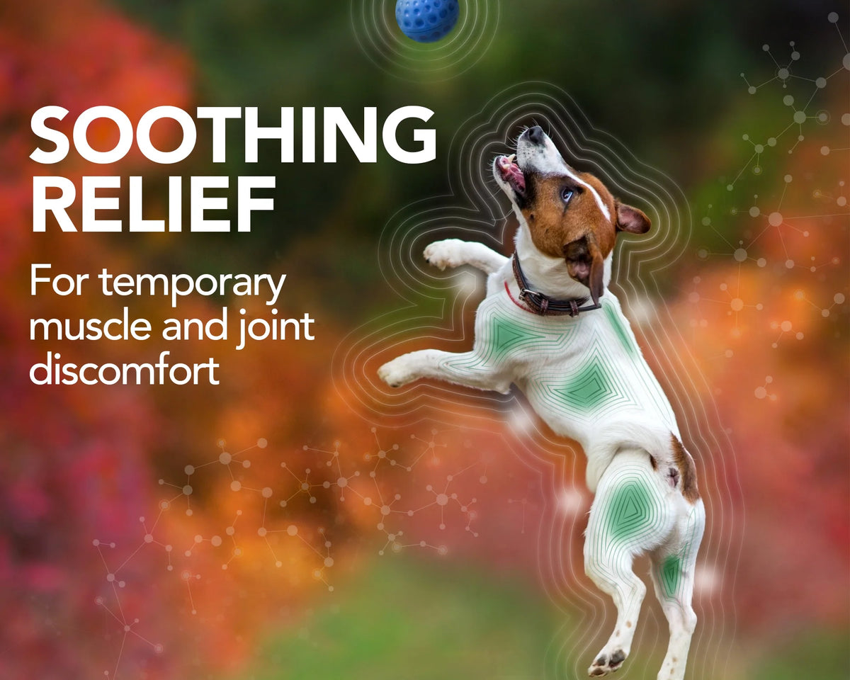 Vet's Best Hip & Joint Support Chewable Tablets for Dogs - 50 Count for Aches & Pains Relief