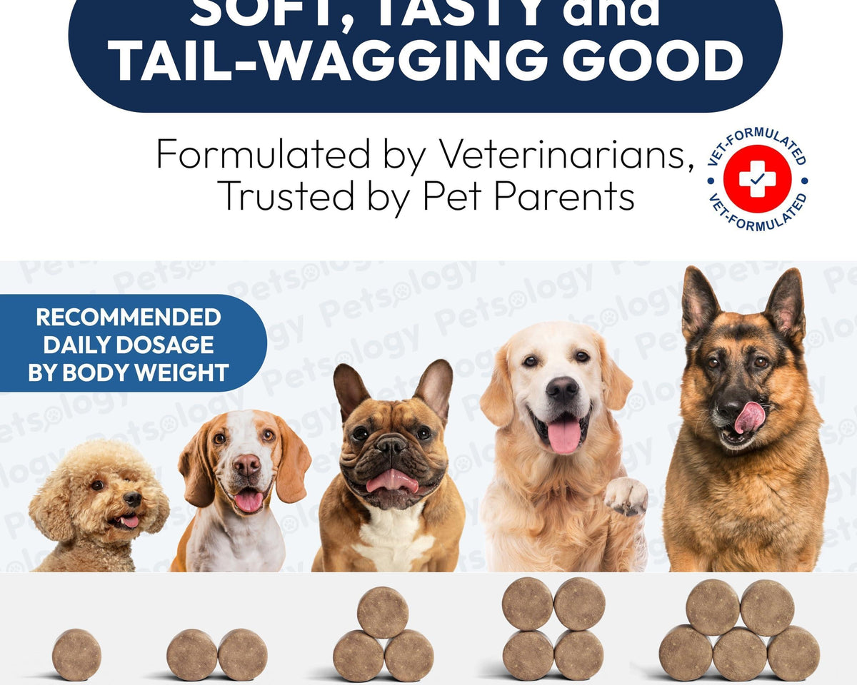 Delicious Probiotic Chews for Dogs - 170 Digestive Enzymes & Prebiotics for Optimal Gut Health!