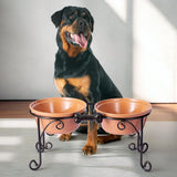 Elevated Dog Bowl Stand with Large Ceramic Bowls - Premium Pet Feeding Station for Medium to Large Breeds (Almond)