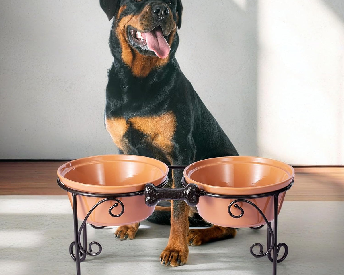 Elevated Dog Bowl Stand with Large Ceramic Bowls - Premium Pet Feeding Station for Medium to Large Breeds (Almond)