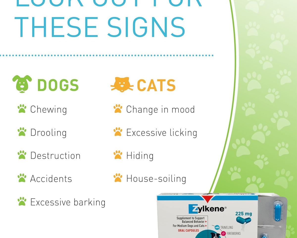 Zylkene Calming Support for Medium Dogs - 14 Capsules, 225 mg - Promotes Relaxation and Reduces Stress for Dogs 33-65 lbs