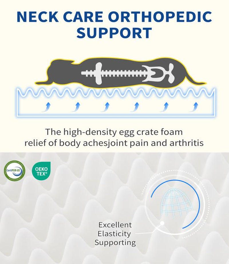 Orthopedic Dog Beds for Large Dogs