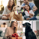 Interactive Dog Chew Toy – Vibrantly Colored Enrichment Toy for Aggressive Chewers