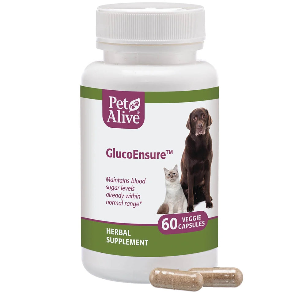 Glucoensure - Natural Herbal Supplement for Healthy Blood Sugar Levels in Pets