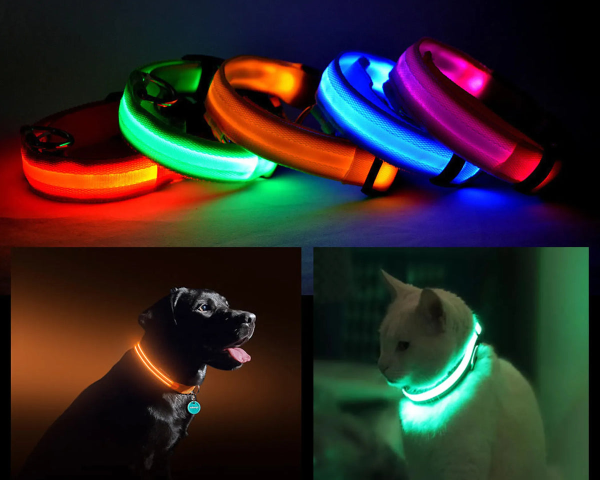 LED PET Safety Halo Style Collar - Pack Of: 1