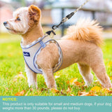 Adjustable No-Pull Dog Harness and Leash Set with Reflective Design and Padded Vest for Extra-Small to Medium Dogs
