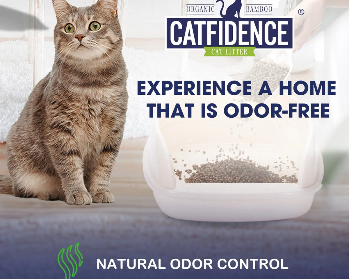 Catfidence Bamboo Cat Litter