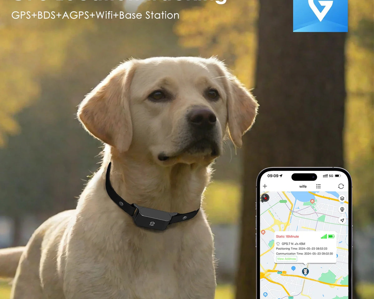 Ultimate 4G Pet GPS Tracker - Stylish Smart Collar for Dogs & Cats, Real-Time Location, Long Battery Life, Anti-Loss Solution for iOS & Android