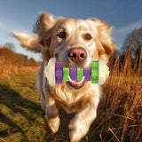 Interactive Dog Chew Toy – Vibrantly Colored Enrichment Toy for Aggressive Chewers