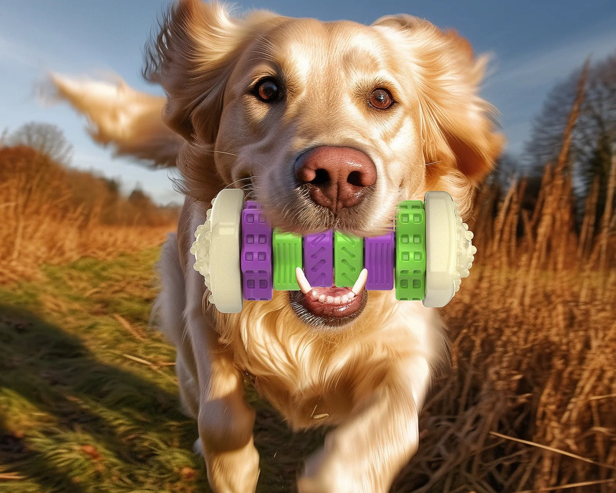 Interactive Dog Chew Toy – Vibrantly Colored Enrichment Toy for Aggressive Chewers