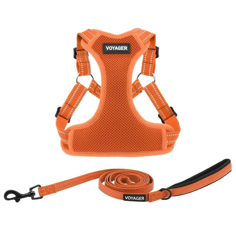 Step-In Flex Harness & Leash Set with Air Mesh