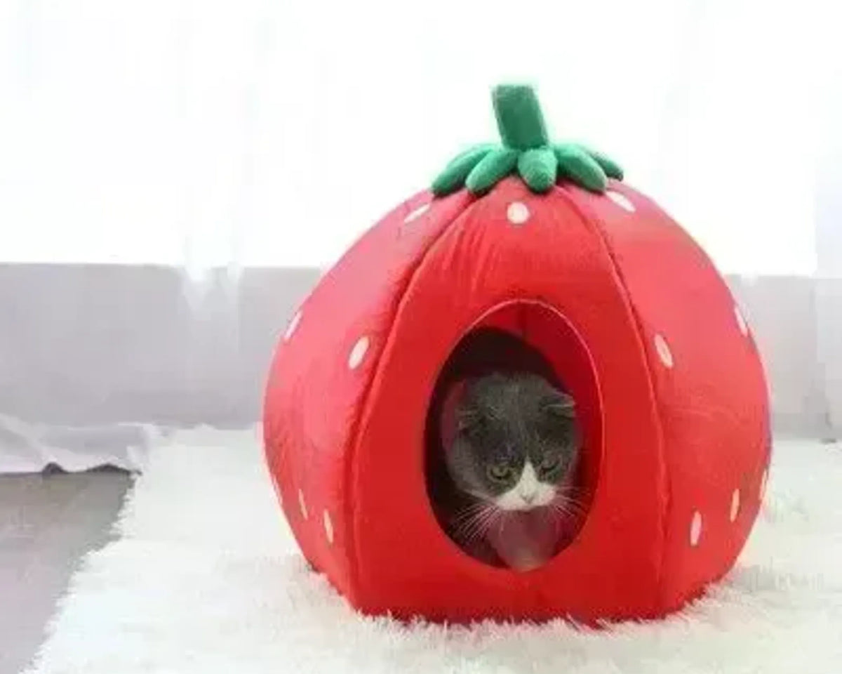 YML Strawberry Pet Bed House