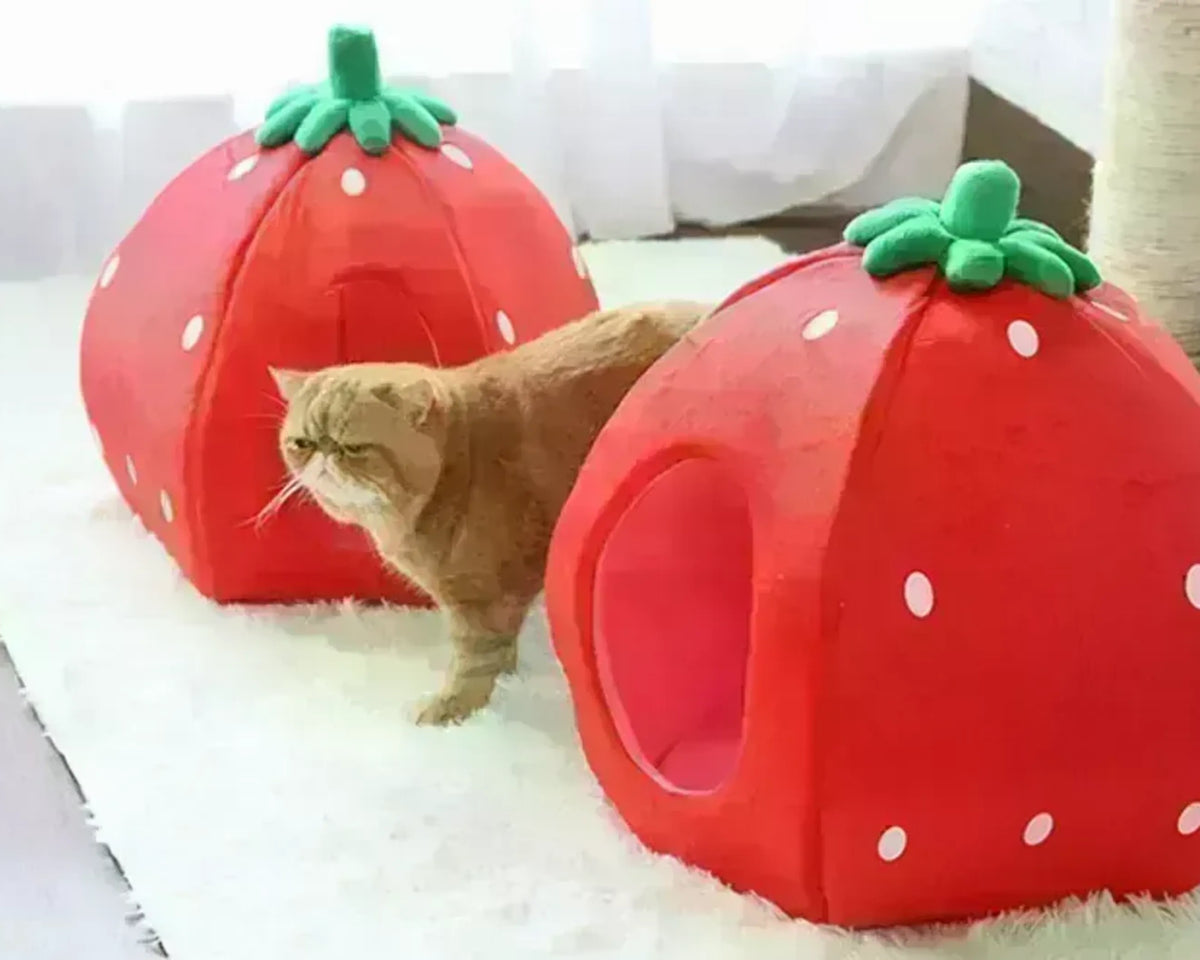 YML Strawberry Pet Bed House