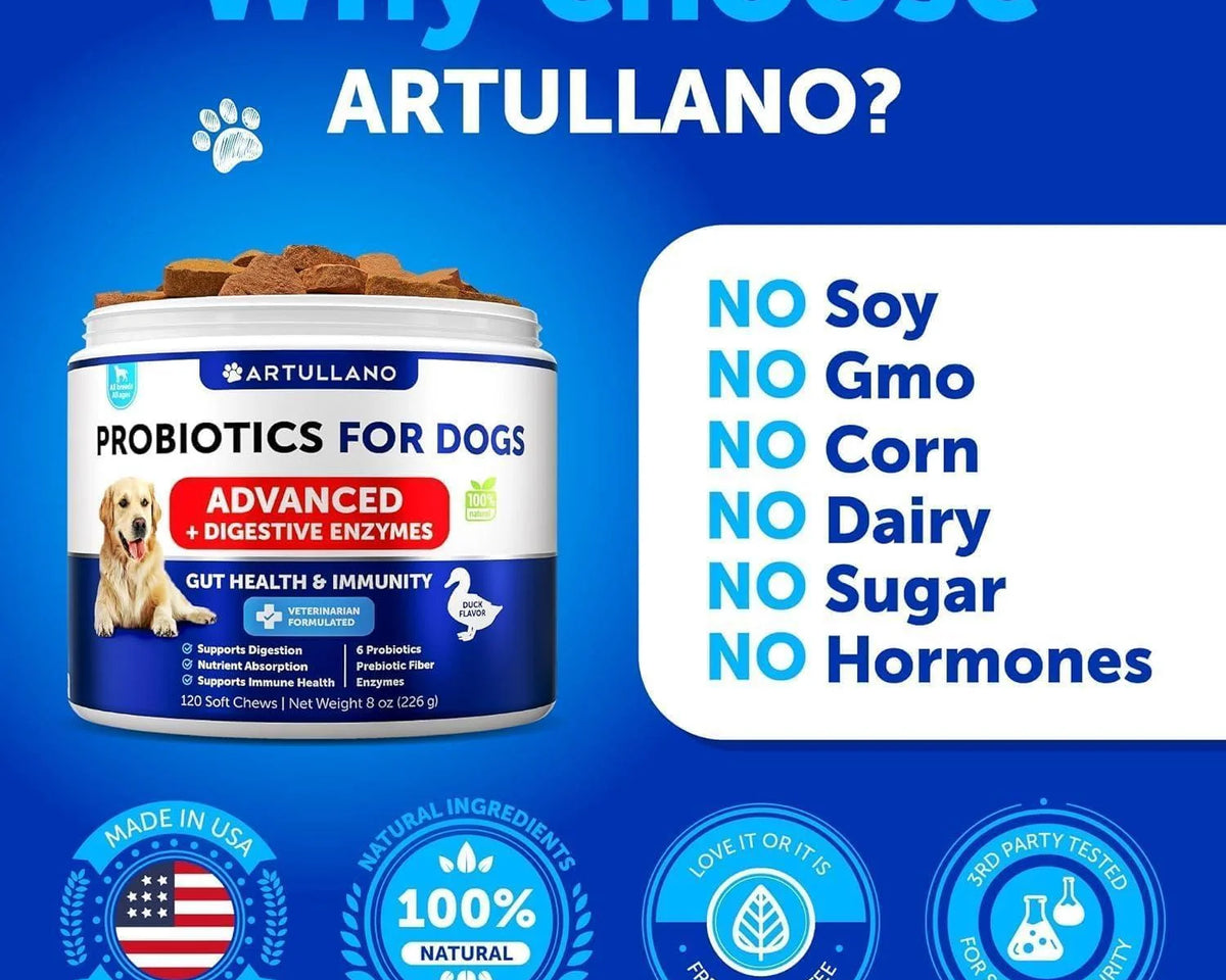 Ultimate Probiotics for Dogs - Boost Gut Health, Relieve Itchy Skin & Allergies, Strengthen Immunity & Combat Yeast