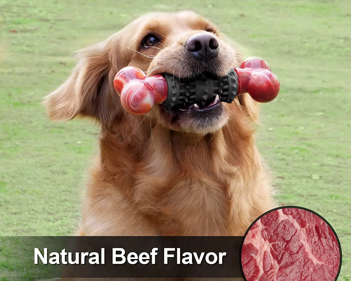 Indestructible Dog Toy for Aggressive Chewers - Interactive Bone Toy for Medium to Large Dogs by Dinosam