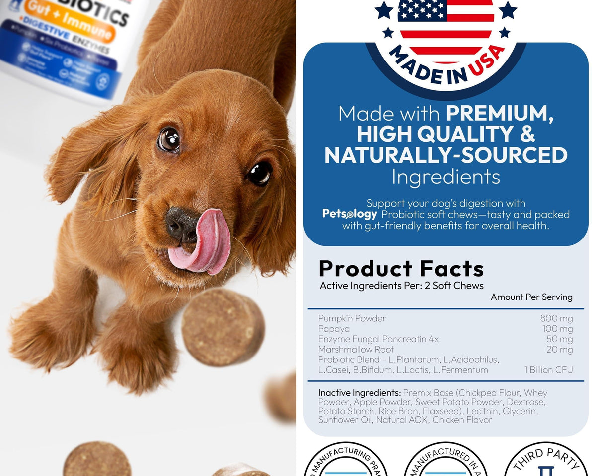 Delicious Probiotic Chews for Dogs - 170 Digestive Enzymes & Prebiotics for Optimal Gut Health!