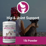Arthriease-Gold Hip & Joint Support Powder for Dogs & Cats - Boost Flexibility & Joint Health - Antioxidant-Enriched 1 lb