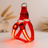 LED Nylon Pet Safety Harness - My Pet Collective LED Nylon Pet Safety Harness