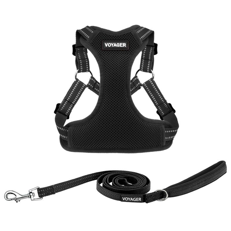 Step-In Flex Harness & Leash Set with Air Mesh
