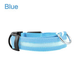 LED Dog Safety Collar – Night Glow - My Pet Collective LED Dog Safety Collar – Night Glow