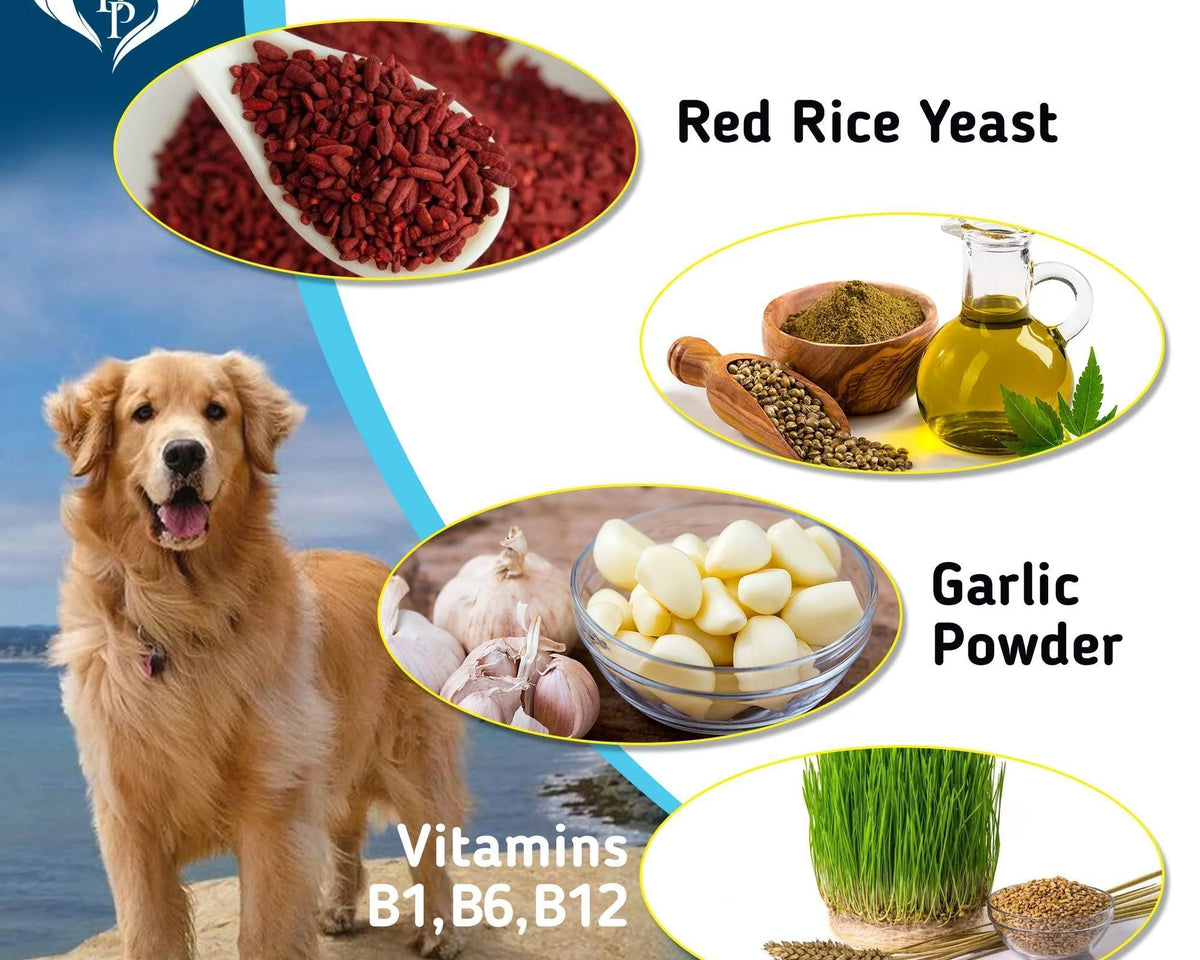 Insect Defense Chewable Tablets for Dogs and Cats - Small, Effective Prevention!