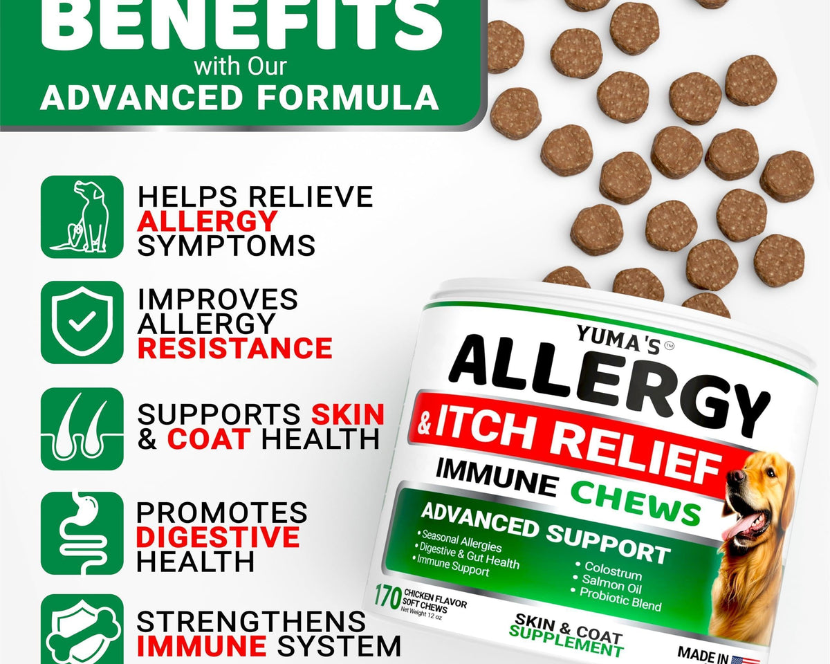All-Natural Dog Allergy Relief Chews – 170 Delicious Treats for Soothing Itch Relief
