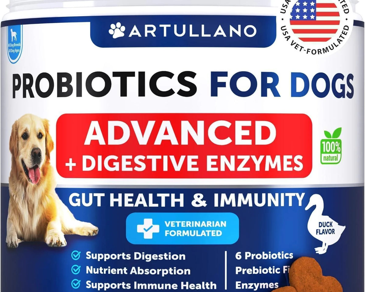 Ultimate Probiotics for Dogs - Boost Gut Health, Relieve Itchy Skin & Allergies, Strengthen Immunity & Combat Yeast